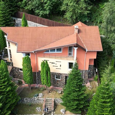 Marble Villa: Luxury Estate - Central But Intimate Синая Экстерьер фото