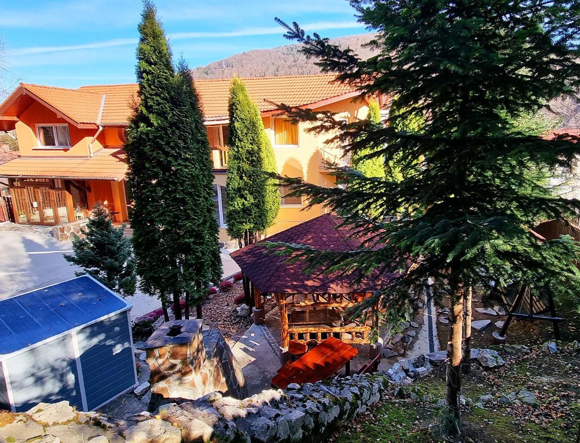 Marble Villa: Luxury Estate - Central But Intimate Синая Экстерьер фото
